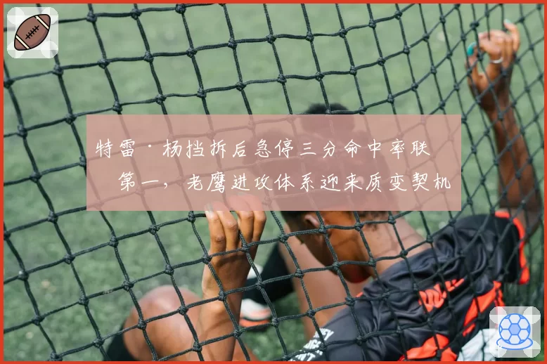 特雷·杨挡拆后急停三分命中率联盟第一,老鹰进攻体系迎来质变契机