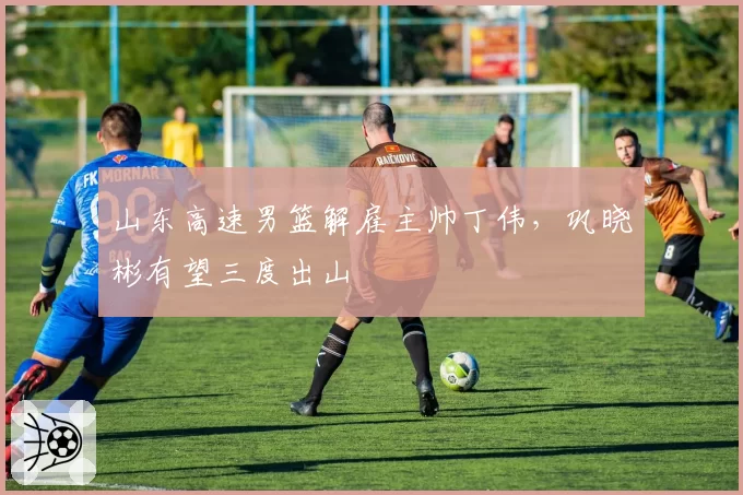 山东高速男篮解雇主帅丁伟，巩晓彬有望三度出山